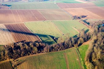 Aerial view of Gorge with railway line in Freckenfeld in the state Rhineland-Palatinate, Germany