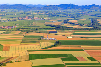 Drone image of Drilling site of the deep drilling rig V20 of Vercana GmbH for Vulcan Energy at Schleidberg for the extraction of geothermal energy and lithium in Insheim in the state Rhineland-Palatinate, Germany