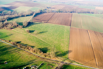 Aerial view of Cow pasture above the Schaidter Mill in Freckenfeld in the state Rhineland-Palatinate, Germany