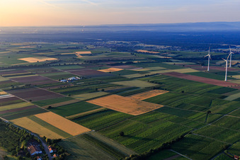 Farmer's Garden in Winden in the state Rhineland-Palatinate, Germany from a drone