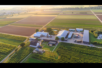 Farmer's Garden in Winden in the state Rhineland-Palatinate, Germany from above
