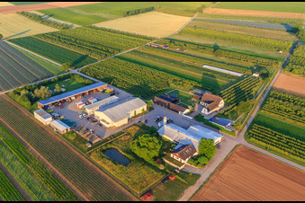 Farmer's Garden in Winden in the state Rhineland-Palatinate, Germany from the plane