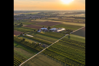 Farmer's Garden in Winden in the state Rhineland-Palatinate, Germany from a drone
