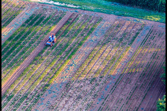 Oldest tractor in Bauer's garden in Freckenfeld in the state Rhineland-Palatinate, Germany