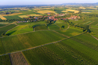 Village view in the morning from the northeast in Dierbach in the state Rhineland-Palatinate, Germany