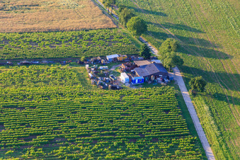 Hut with a yard full of junk and junk in Dörrenbach in the state Rhineland-Palatinate, Germany