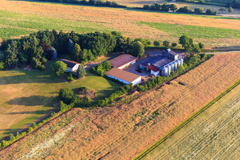 Aerial photograpy of Resettler farm in Dörrenbach in the state Rhineland-Palatinate, Germany