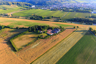 Oblique view of Resettler farm in Dörrenbach in the state Rhineland-Palatinate, Germany