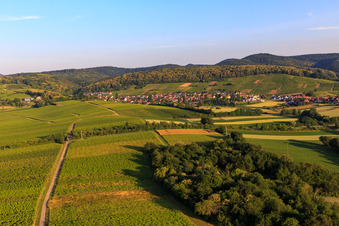 Aerial view of Wine town from the east in the district Pleisweiler in Pleisweiler-Oberhofen in the state Rhineland-Palatinate, Germany