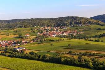 Aerial view of Wine town from the east in the district Gleiszellen in Gleiszellen-Gleishorbach in the state Rhineland-Palatinate, Germany