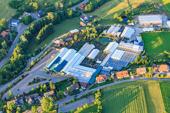 Weißer's Floraparadies Nursery in the district Schabenhausen in Niedereschach in the state Baden-Wuerttemberg, Germany