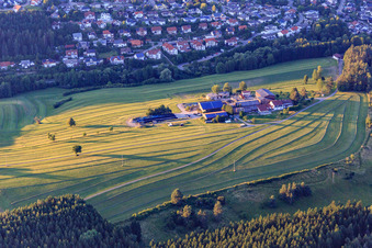 Aussiedlerhof amidst mown meadows in the evening in Niedereschach in the state Baden-Wuerttemberg, Germany