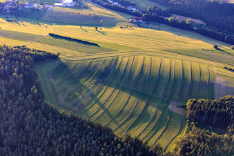 Aerial view of Mowed meadows in the Black Forest in the evening in Niedereschach in the state Baden-Wuerttemberg, Germany