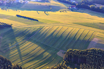 Aerial photograpy of Mowed meadows in the Black Forest in the evening in Niedereschach in the state Baden-Wuerttemberg, Germany