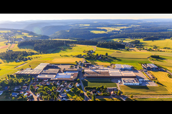 Aerial view of Village view from the south with GFV Verschlusstechnik GmbH & Co. KG, SAIER Verpackungstechnik GmbH & Co. KG and SAIER Group in the district Peterzell in Alpirsbach in the state Baden-Wuerttemberg, Germany