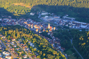 Old town with Holy Cross Collegiate Church in Horb am Neckar in the state Baden-Wuerttemberg, Germany