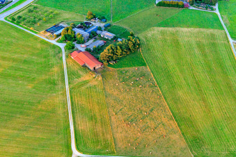 Aerial view of Cattle pasture at the sheep farm in the district Lindenhof in Oberndorf am Neckar in the state Baden-Wuerttemberg, Germany