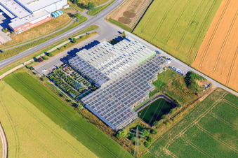 Flowers Längle in Dunningen in the state Baden-Wuerttemberg, Germany