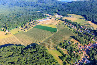 Tree plantation on the former barracks site in Drachenbronn-Birlenbach in the state Bas-Rhin, France