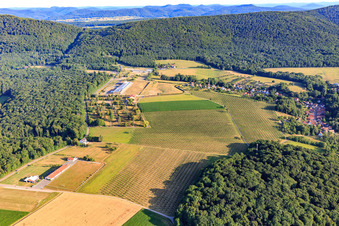 Aerial view of Tree plantation on the former barracks site in Drachenbronn-Birlenbach in the state Bas-Rhin, France