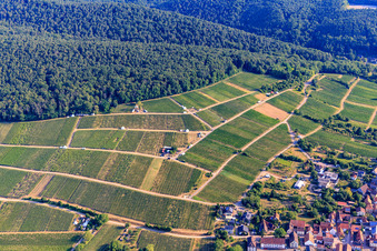 Tasting stands in the vineyard for "Grenzenlos Wein" (Wine Without Borders). A German-French wine event featuring wines from our winemakers and neighboring Alsace, as well as local delicacies high above the village, with a magnificent view over the Rhine plain and into neighboring Wissembourg. in the district Schweigen in Schweigen-Rechtenbach in the state Rhineland-Palatinate, Germany