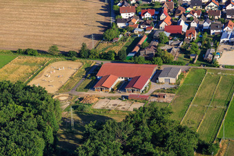 Horse farm at Altbach in the district Minderslachen in Kandel in the state Rhineland-Palatinate, Germany