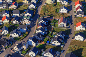 Violet Way, Rose Way in Kandel in the state Rhineland-Palatinate, Germany