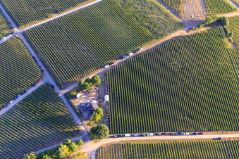 Aerial view of Wine festival at the grill hut Weinpanorama in the district Heuchelheim in Heuchelheim-Klingen in the state Rhineland-Palatinate, Germany