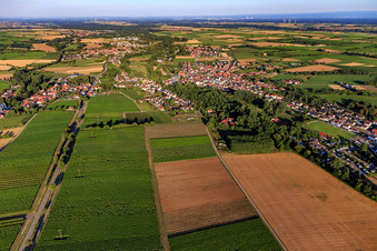 Village view from the west in the district Ingenheim in Billigheim-Ingenheim in the state Rhineland-Palatinate, Germany