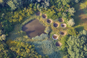 Réserve biologique dirigée de Lauterbourg in Lauterbourg in the state Bas-Rhin, France