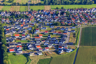 New development area K2 from the north with daffodil and sunflower path in Kandel in the state Rhineland-Palatinate, Germany