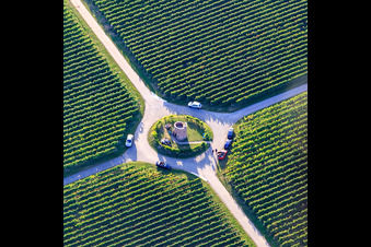 Houschder Winzerturm between the vineyards in the district Niederhochstadt in Hochstadt in the state Rhineland-Palatinate, Germany