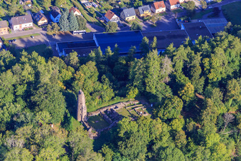 Oblique view of Ruins and foundations of the castle Dagstuhl in the forest in the district Dagstuhl in Wadern in the state Saarland, Germany