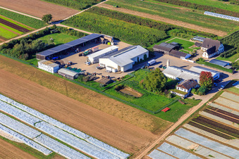 Farmer's Garden in Winden in the state Rhineland-Palatinate, Germany from the plane