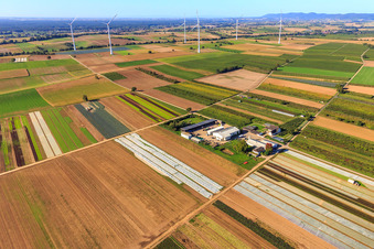 Bird's eye view of Farmer's Garden in Winden in the state Rhineland-Palatinate, Germany