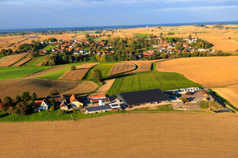 Neugartenhof district with SAS VITA COMPOST in Niederrœdern in the state Bas-Rhin, France