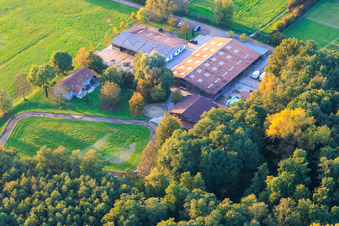 Aerial photograpy of Bienwald Icelandic Horse Stud in Freckenfeld in the state Rhineland-Palatinate, Germany