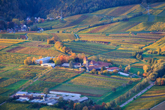 JKI Institute for Grapevine Breeding Geilweilerhof and Institute for Environmental Sciences in Siebeldingen in the state Rhineland-Palatinate, Germany