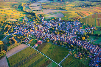 Village view from the northwest, nestled between vineyards ablaze with autumnal colors. in Göcklingen in the state Rhineland-Palatinate, Germany