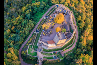 Aerial photograpy of Landeck Castle in autumn evening in Klingenmünster in the state Rhineland-Palatinate, Germany