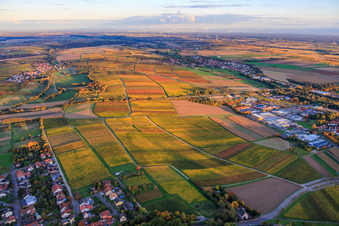 Aerial view of Vineyards ablaze with autumnal colors between Niederhorbach and Kappellen-Drusweiler in Niederhorbach in the state Rhineland-Palatinate, Germany