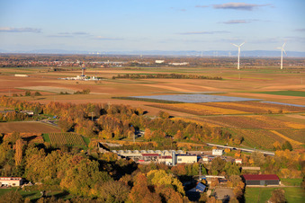 Aerial view of Geothermal power plant Insheim and drilling rig V20 of Vercana GmbH for deep geothermal energy and lithium extraction in front of the Offenbach wind farm, with the GKM Mannheim in the background in Insheim in the state Rhineland-Palatinate, Germany