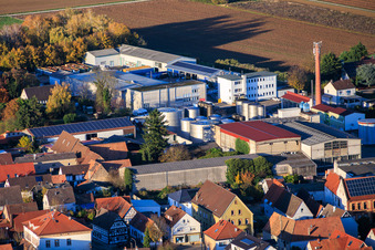 Löwen-Brennerei GmbH, Weingut Johler GbR and Gabriele Bönicke - Transport & Trading in the district Niederlustadt in Lustadt in the state Rhineland-Palatinate, Germany