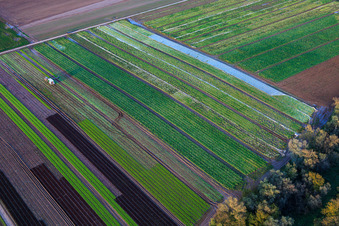 Aerial view of Vegetable and onion fields by the Kaltenbach stream in Freisbach in the state Rhineland-Palatinate, Germany