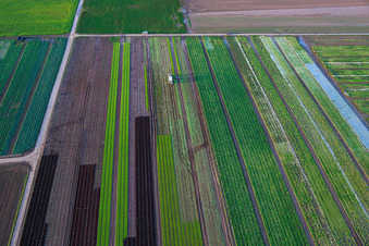 Aerial photograpy of Vegetable and onion fields by the Kaltenbach stream in Freisbach in the state Rhineland-Palatinate, Germany