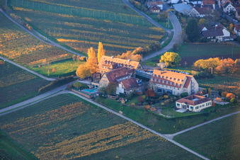 Leinsweilerhof in autumn in Leinsweiler in the state Rhineland-Palatinate, Germany