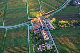 Aerial view of Leinsweilerhof in autumn in Leinsweiler in the state Rhineland-Palatinate, Germany