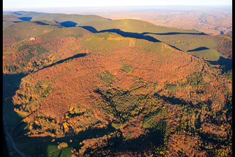 Autumn forest below the Ohrensfels in Frankweiler in the state Rhineland-Palatinate, Germany