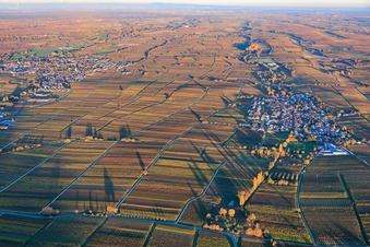 Aerial photograpy of View of the village from the west, nestled between vineyards colored with autumnal hues, in the evening light. in Roschbach in the state Rhineland-Palatinate, Germany