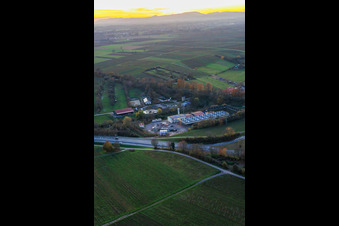 Geothermal power plant Insheim for lithium extraction by Vulcan Energy GmbH in Insheim in the state Rhineland-Palatinate, Germany